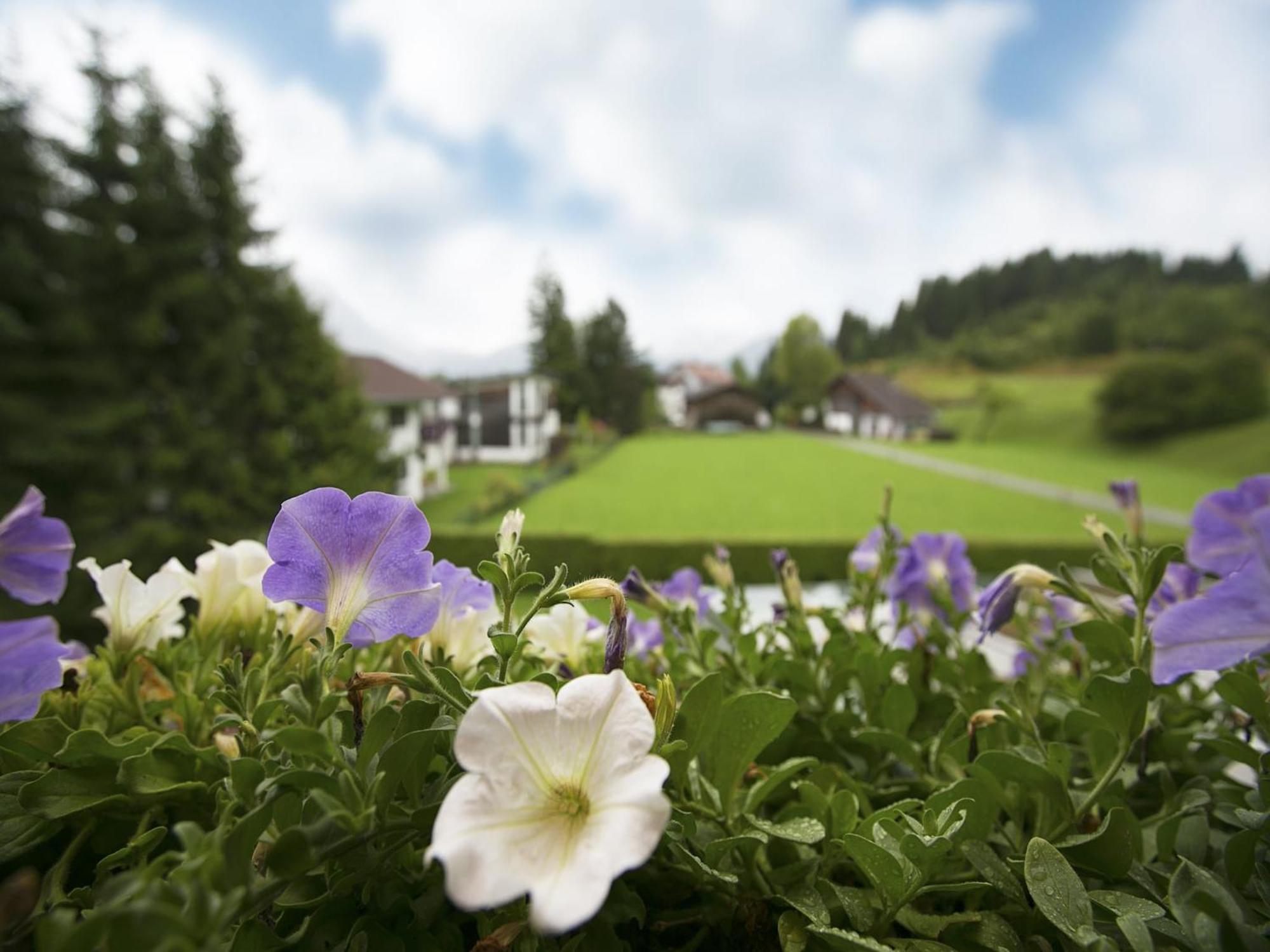 Apartment In W Ngle Tyrol With Walking Trails Near Ройте Экстерьер фото