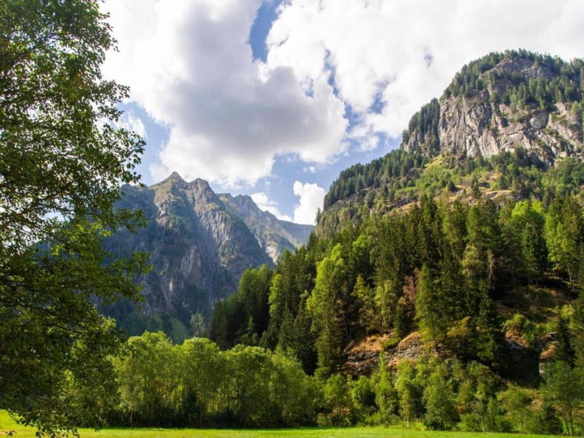 Apartment In W Ngle Tyrol With Walking Trails Near Ройте Экстерьер фото
